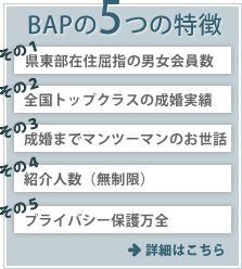 BAPの5つの特徴